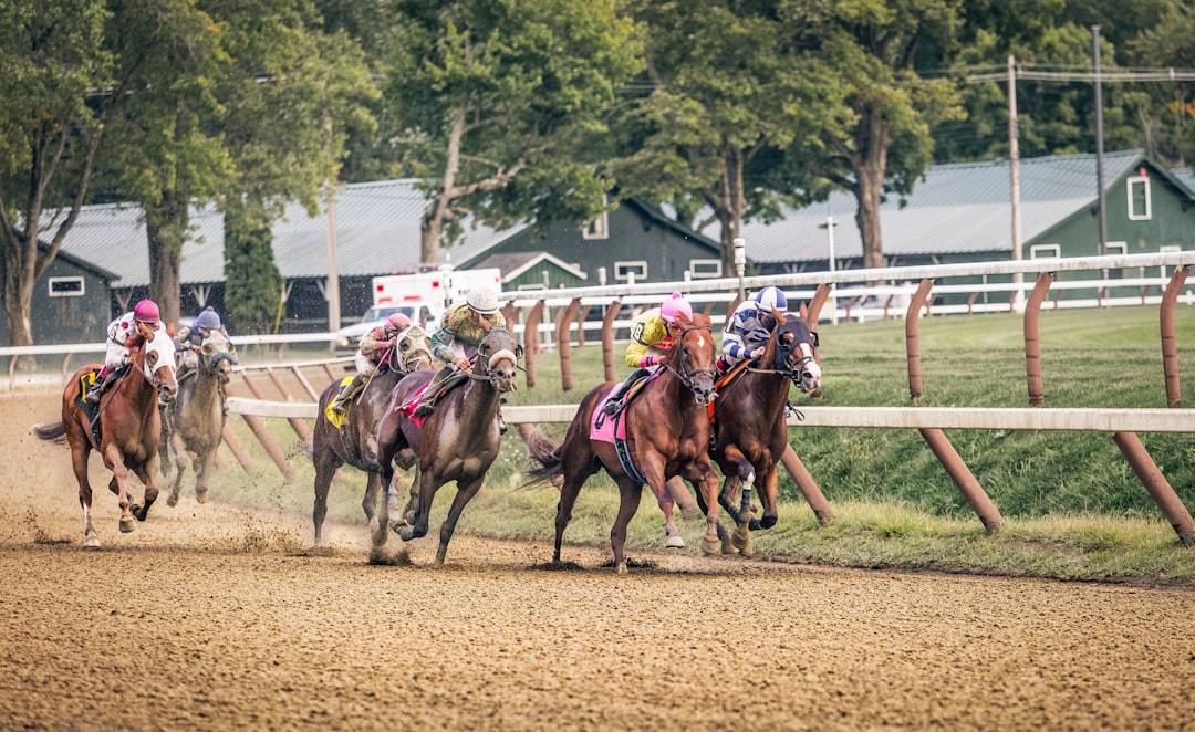 Photo horse racing